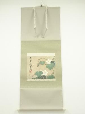 尾形乾山筆　夕顔図　印刷工芸品　紙本掛軸（共箱）